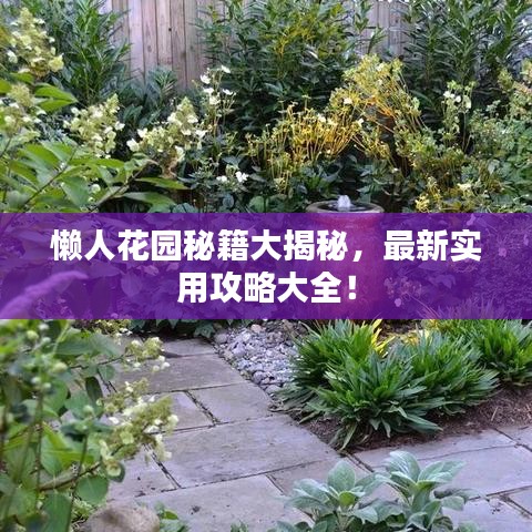 懶人花園秘籍大揭秘，最新實(shí)用攻略大全！