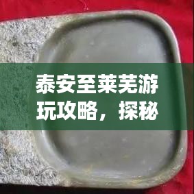 泰安至萊蕪游玩攻略，探秘山東美景，盡享舒適之旅！