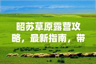 昭蘇草原露營攻略，最新指南，帶你玩轉(zhuǎn)草原露營！