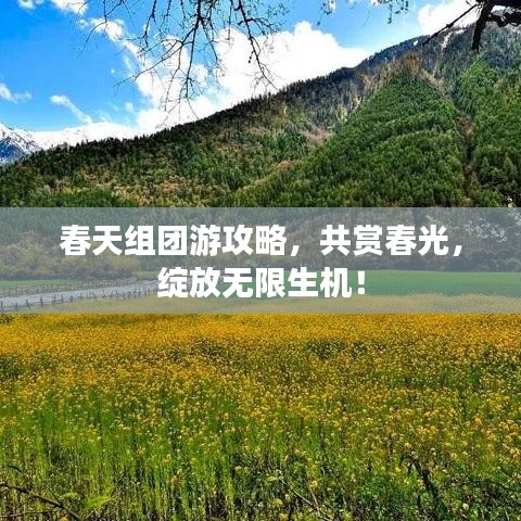 春天組團(tuán)游攻略，共賞春光，綻放無(wú)限生機(jī)！