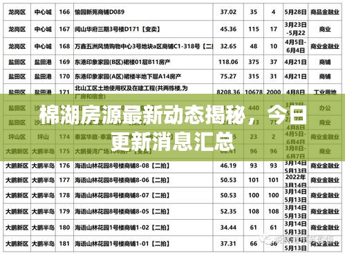 棉湖房源最新動(dòng)態(tài)揭秘，今日更新消息匯總