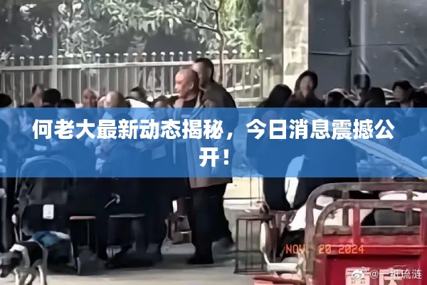 何老大最新動態(tài)揭秘，今日消息震撼公開！
