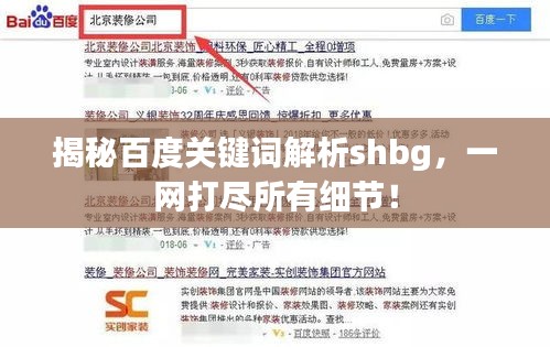 揭秘百度關(guān)鍵詞解析shbg，一網(wǎng)打盡所有細(xì)節(jié)！