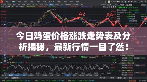 今日雞蛋價(jià)格漲跌走勢(shì)表及分析揭秘，最新行情一目了然！