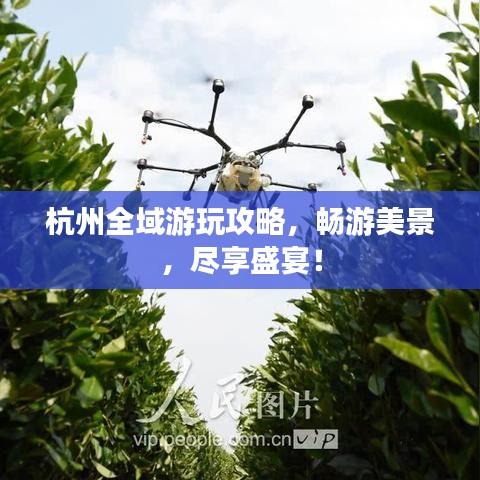 杭州全域游玩攻略，暢游美景，盡享盛宴！
