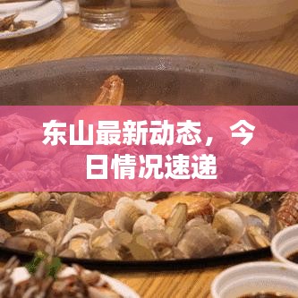東山最新動(dòng)態(tài)，今日情況速遞