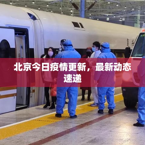 北京今日疫情更新，最新動態(tài)速遞