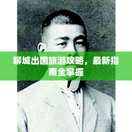 聊城出國(guó)旅游攻略，最新指南全掌握