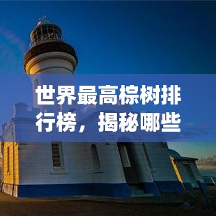 世界最高棕樹排行榜，揭秘哪些棕樹高聳入云！