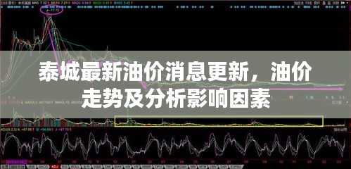 泰城最新油價消息更新，油價走勢及分析影響因素