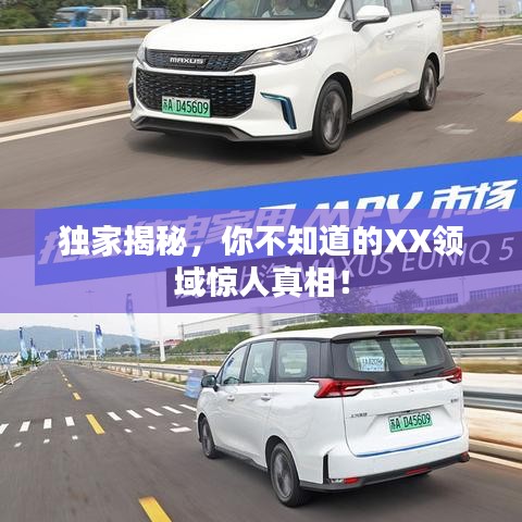 獨(dú)家揭秘，你不知道的XX領(lǐng)域驚人真相！