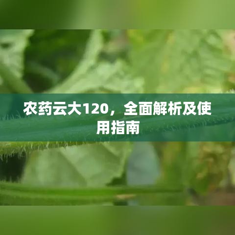 農(nóng)藥云大120，全面解析及使用指南