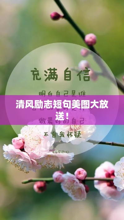 清風(fēng)勵(lì)志短句美圖大放送！