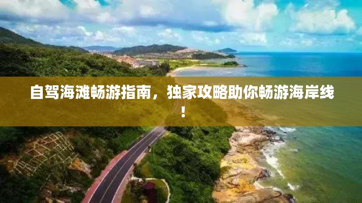 自駕海灘暢游指南，獨家攻略助你暢游海岸線！