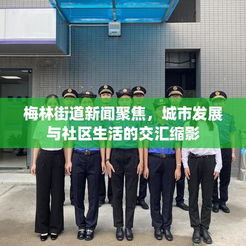 梅林街道新聞聚焦，城市發(fā)展與社區(qū)生活的交匯縮影