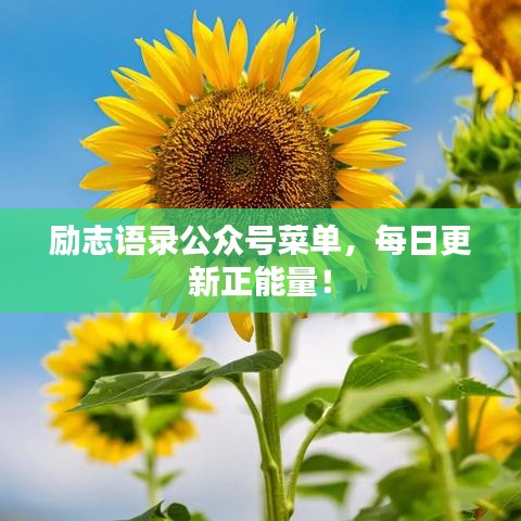 勵(lì)志語(yǔ)錄公眾號(hào)菜單，每日更新正能量！