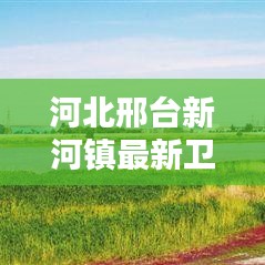 河北邢臺新河鎮(zhèn)最新衛(wèi)星地圖全景，古鎮(zhèn)新貌揭秘