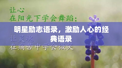 明星勵(lì)志語(yǔ)錄，激勵(lì)人心的經(jīng)典語(yǔ)錄