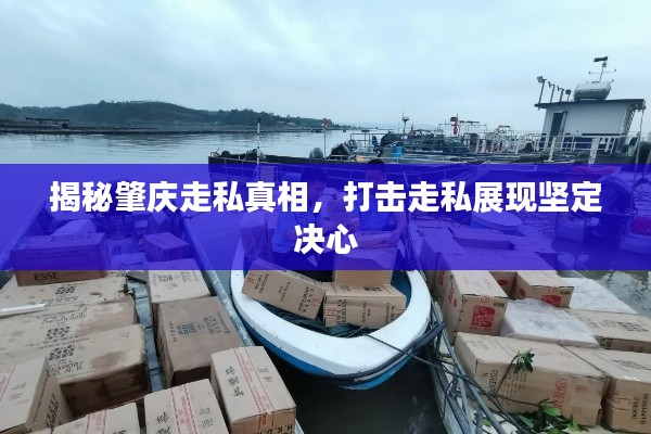 揭秘肇慶走私真相，打擊走私展現(xiàn)堅(jiān)定決心