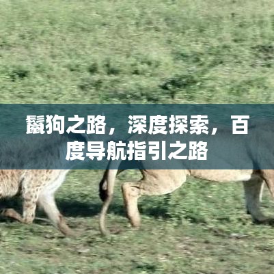 鬣狗之路，深度探索，百度導(dǎo)航指引之路
