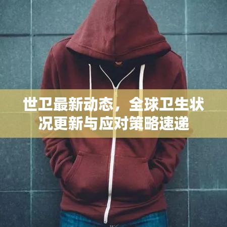 世衛(wèi)最新動態(tài)，全球衛(wèi)生狀況更新與應對策略速遞