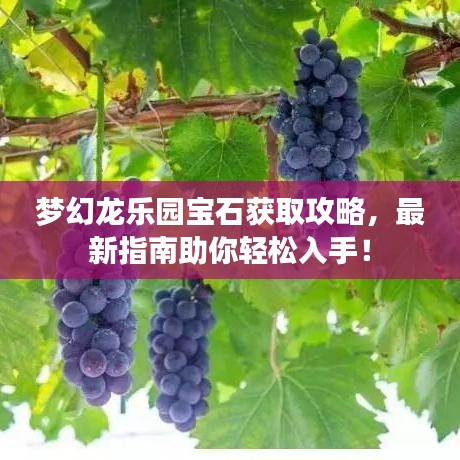 夢幻龍樂園寶石獲取攻略，最新指南助你輕松入手！