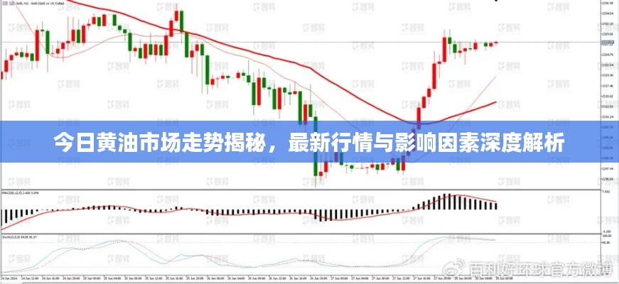 今日黃油市場走勢揭秘，最新行情與影響因素深度解析