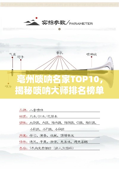 亳州嗩吶名家TOP10，揭秘嗩吶大師排名榜單！