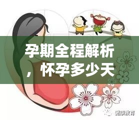 孕期全程解析，懷孕多少天會(huì)分娩？