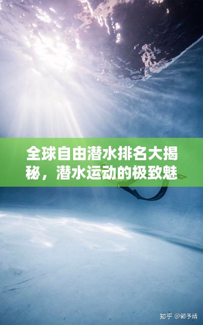 全球自由潛水排名大揭秘，潛水運動的極致魅力探索