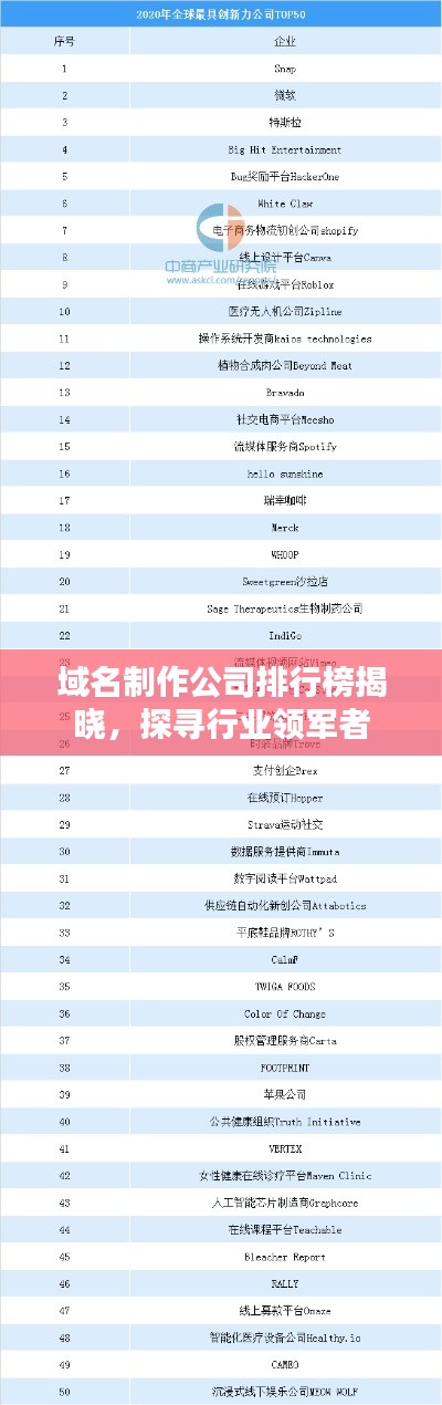 域名制作公司排行榜揭曉，探尋行業(yè)領(lǐng)軍者