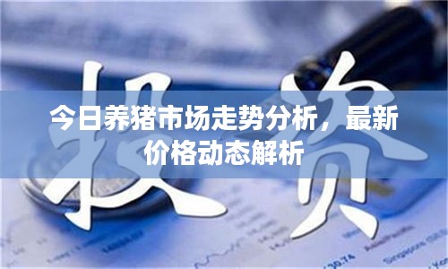 今日養(yǎng)豬市場走勢分析，最新價格動態(tài)解析