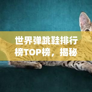 世界彈跳鞋排行榜TOP榜，揭秘彈跳力最強的鞋款！