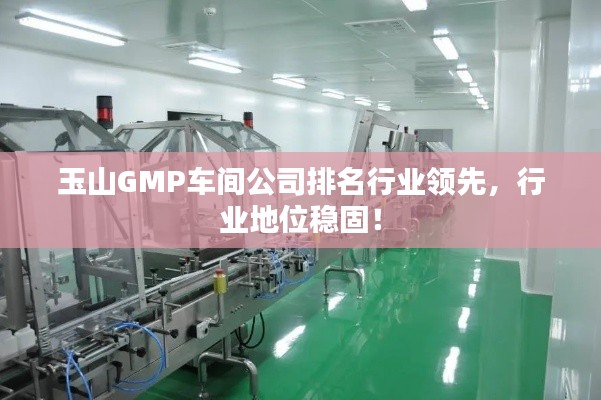 玉山GMP車間公司排名行業(yè)領(lǐng)先，行業(yè)地位穩(wěn)固！