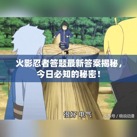火影忍者答題最新答案揭秘，今日必知的秘密！