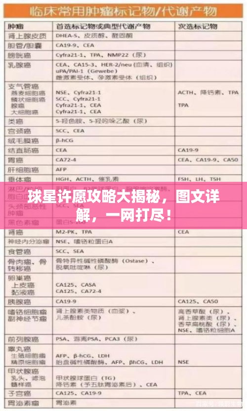 球星許愿攻略大揭秘，圖文詳解，一網(wǎng)打盡！