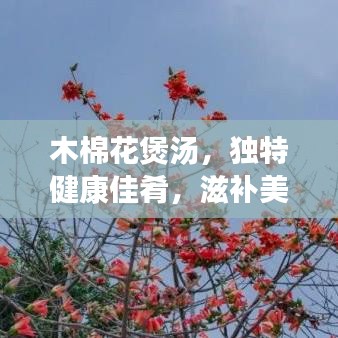 木棉花煲湯，獨(dú)特健康佳肴，滋補(bǔ)美味之選