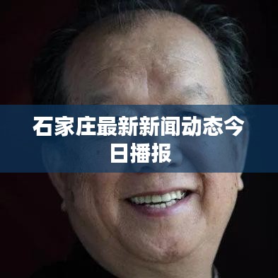 石家莊最新新聞動態(tài)今日播報