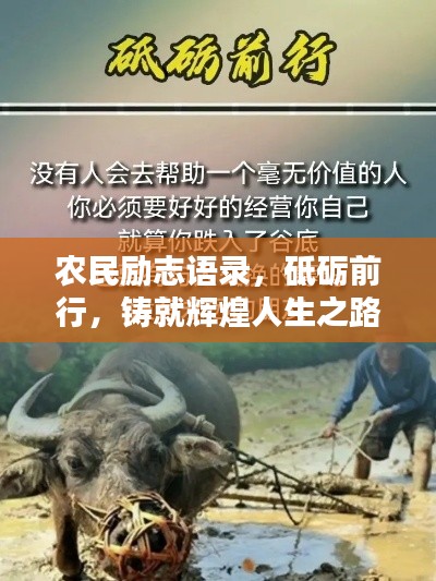 農(nóng)民勵志語錄，砥礪前行，鑄就輝煌人生之路