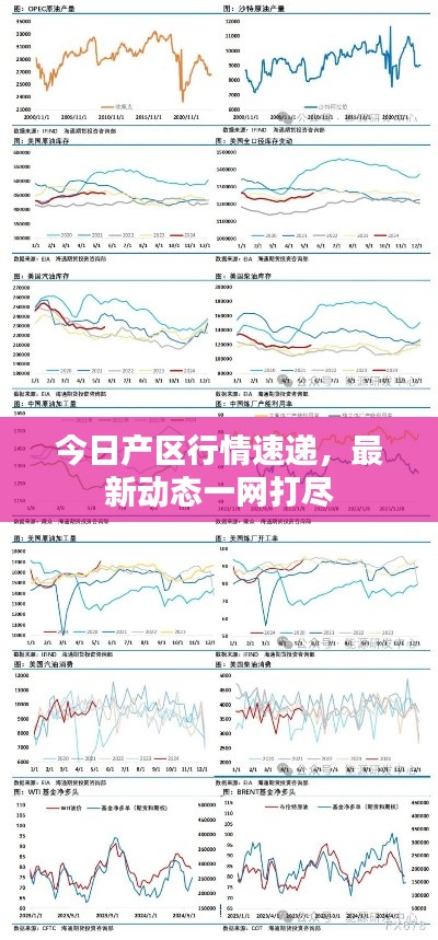 今日產(chǎn)區(qū)行情速遞，最新動(dòng)態(tài)一網(wǎng)打盡