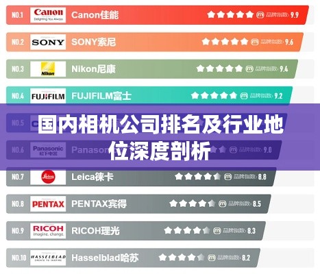 國(guó)內(nèi)相機(jī)公司排名及行業(yè)地位深度剖析