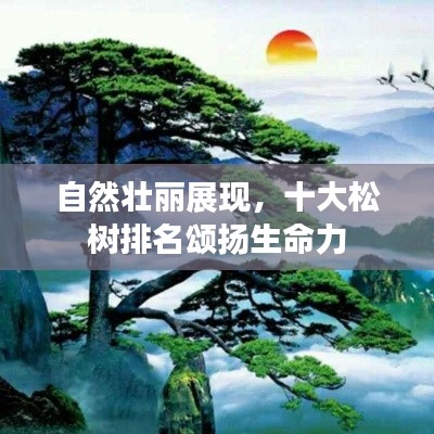 打張雞兒 第2頁