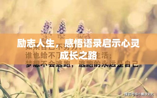 勵志人生，感悟語錄啟示心靈成長之路