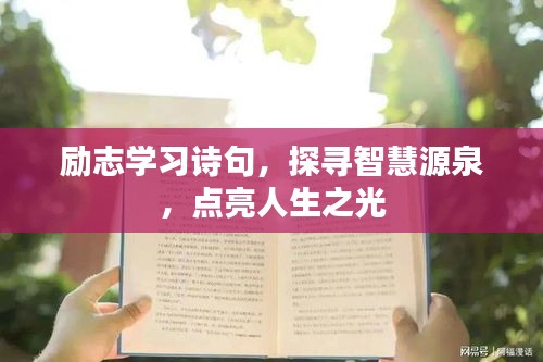 空谷幽蘭 第3頁(yè)