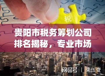 貴陽市稅務(wù)籌劃公司排名揭秘，專業(yè)市場分析助你明智選擇！