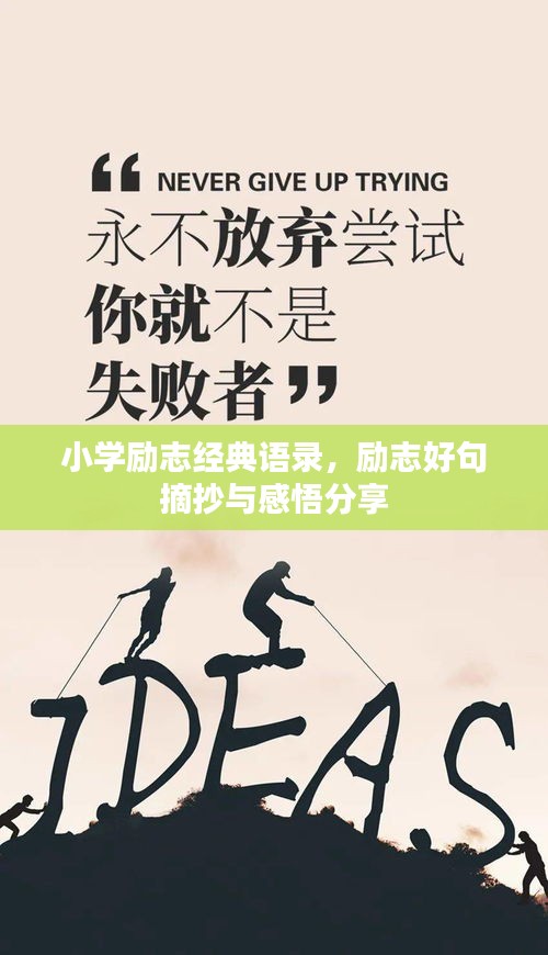 小學(xué)勵志經(jīng)典語錄，勵志好句摘抄與感悟分享