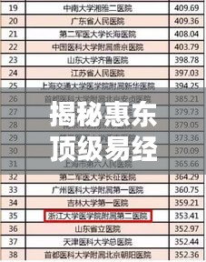 揭秘惠東頂級易經大師榜單，十大高人排名解析