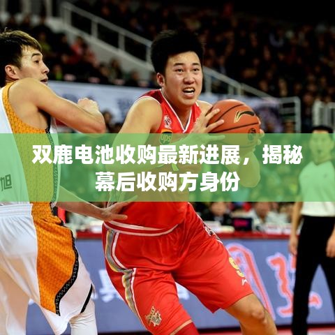 雙鹿電池收購最新進(jìn)展，揭秘幕后收購方身份