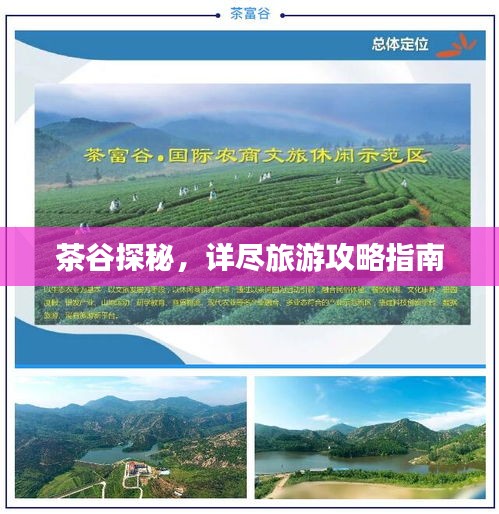 茶谷探秘，詳盡旅游攻略指南