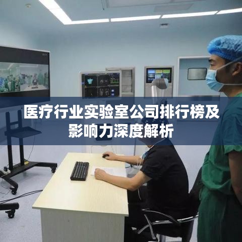 醫(yī)療行業(yè)實(shí)驗(yàn)室公司排行榜及影響力深度解析